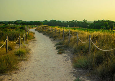 Camino Salinas Torrevieja- Fotografia atardecer - Fotografo de paisajes